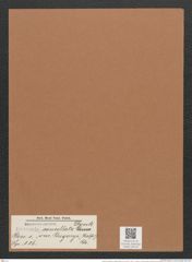 Navicula cancellata var. gregoryi (Ralfs) Gr. (de-Toni-Nr.: Genus 1, Species 116) Zeichnungen Sammlung Grunow Mappe 00100 (Herbarium_W_Grunow_drawings_Folder_00100)